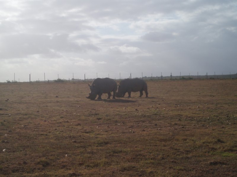 KeHa_in_South_Africa - 200